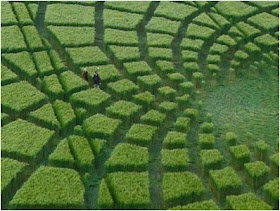 Kia Seen OnCool crop 'art' circles from around the world www.coolpicturegallery.us