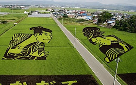 Kia Seen OnCool crop 'art' circles from around the world www.coolpicturegallery.us