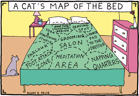 [catmapl.gif]