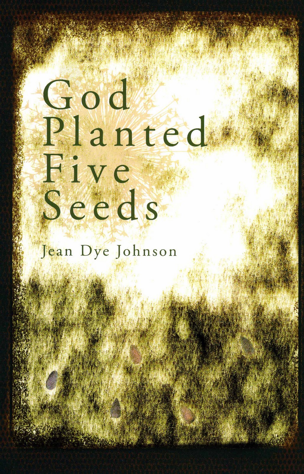 The Seeds Were Planted As Two Worlds The Verge of Heaven: Book Review: God Planted Five Seeds