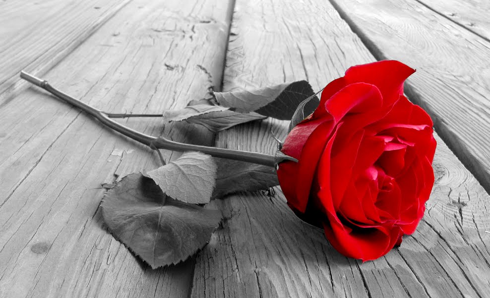 Ex ceed The Safety Of And In Aloneness
