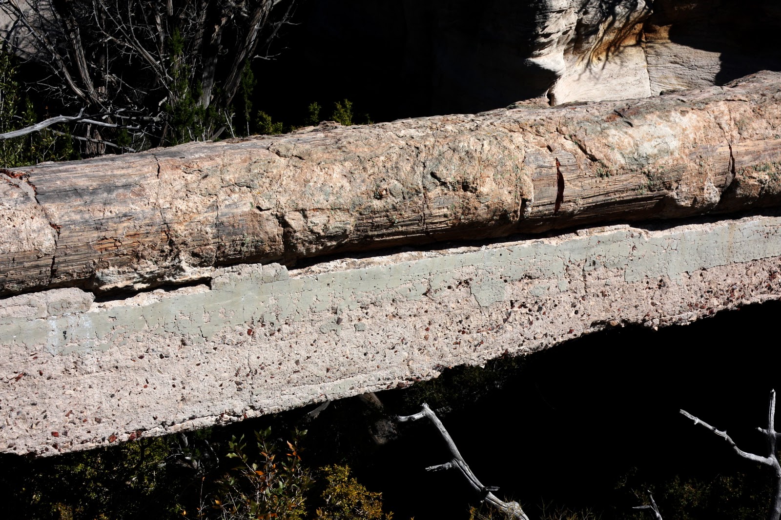 White Elephants Wandering Westward What wood doesn't burn?