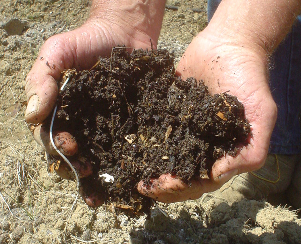 The Sharing Gardens : Hay-Bale Compost