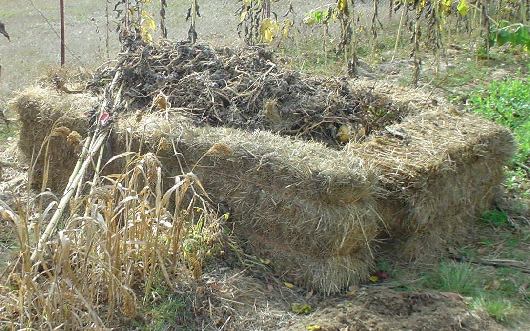 The Sharing Gardens HayBale Compost