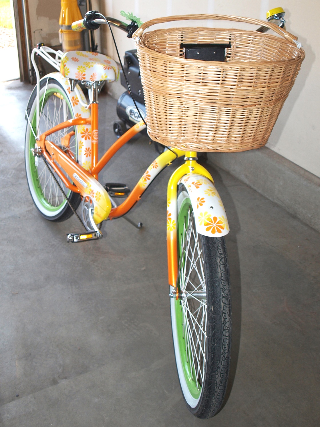 francis stuart bicycle computer