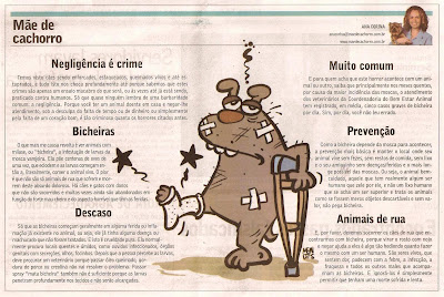 como organizar produtos de limpeza