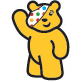 [pudsey.gif]