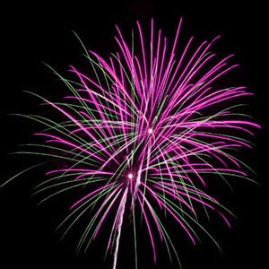 [Fireworks.jpg]