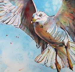 seagull painting flight paintings watercolor paint mine posting painters takes ll between website daily