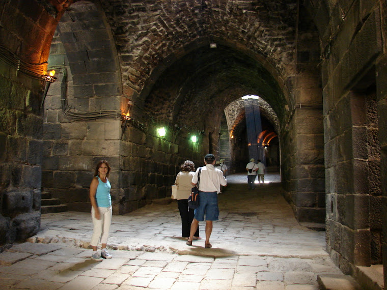 Por dentro de la fortaleza de Bosra