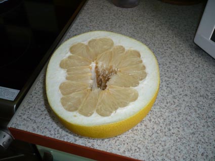 [P1000993+copiar.jpg]