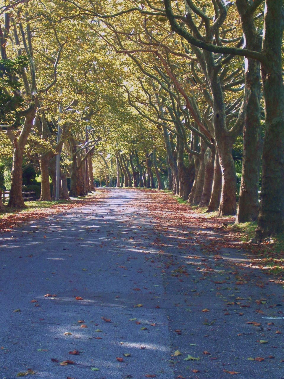 [bellport+bay+009.JPG]