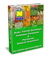 EBOOK GRATIS