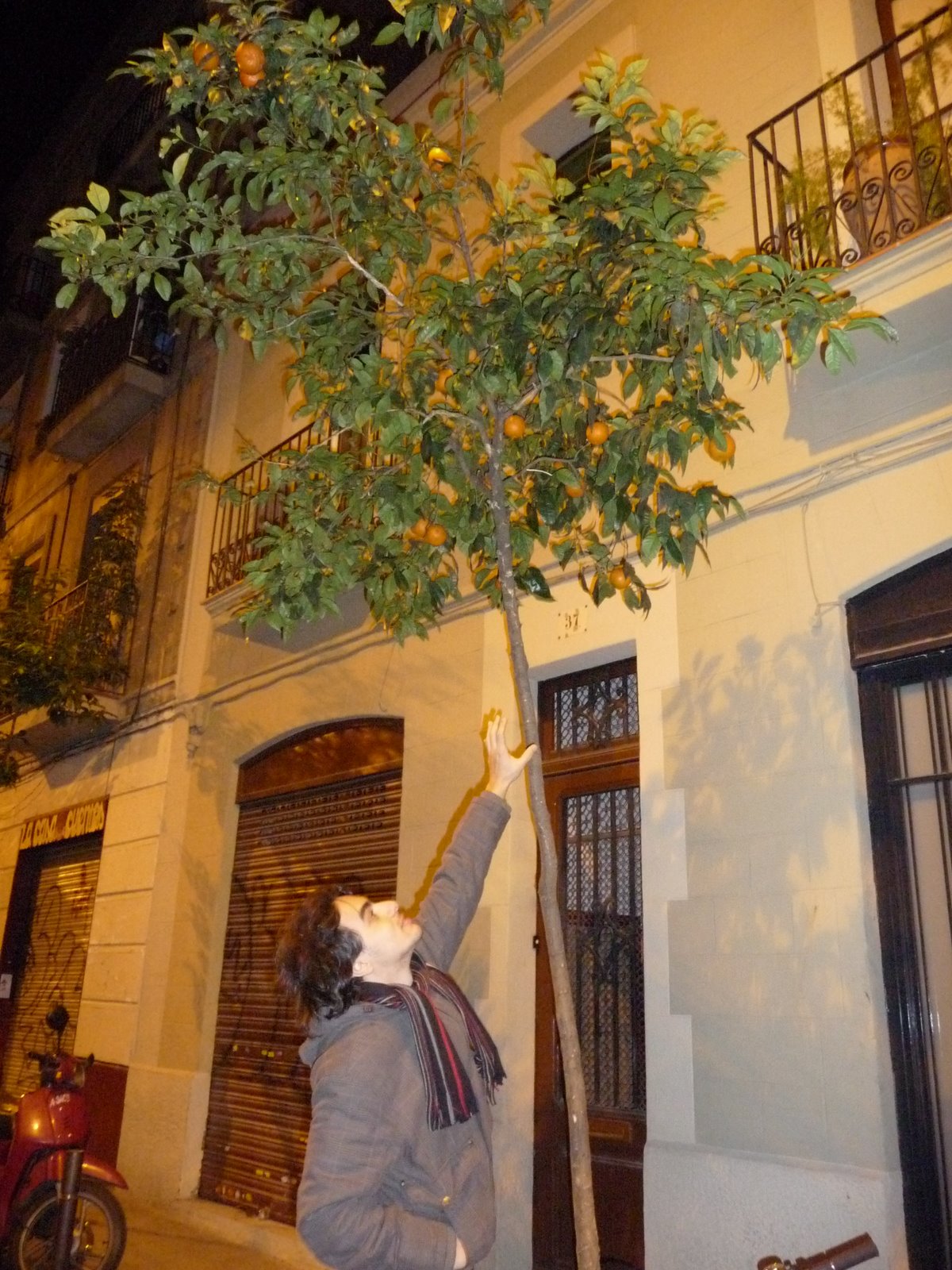 [P1020979.JPG]