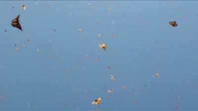 [henrikhakansson.jpg]