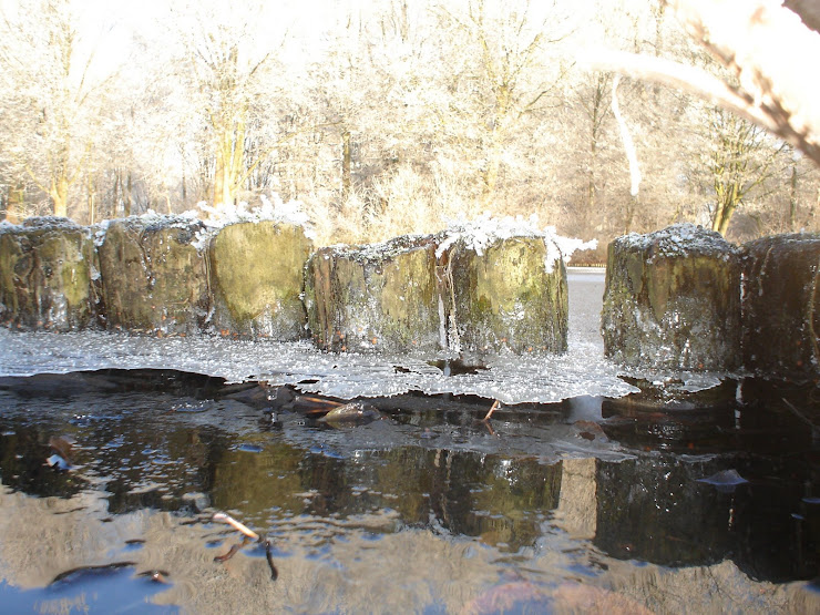 WINTER IN NOORD
