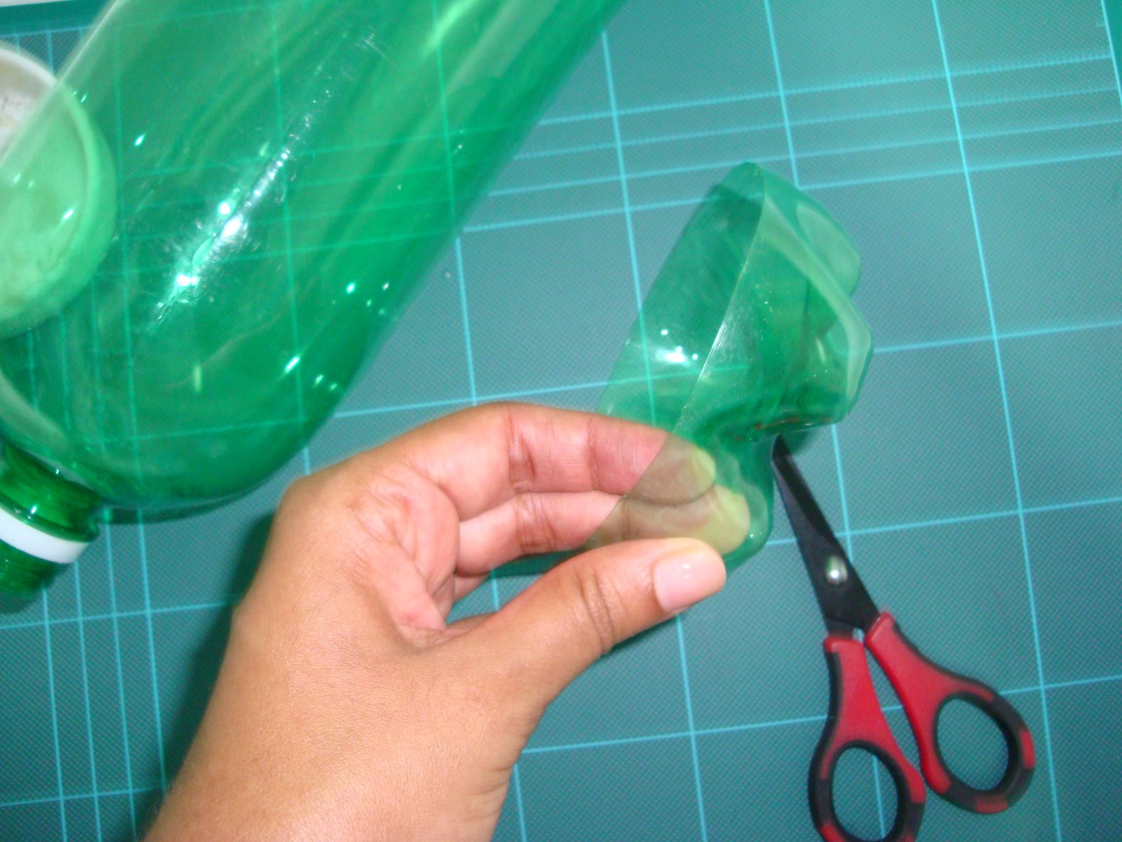 [arvore+pet+044.jpg]