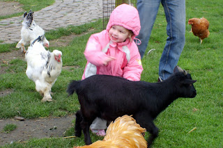 klikklik: Plopsaland