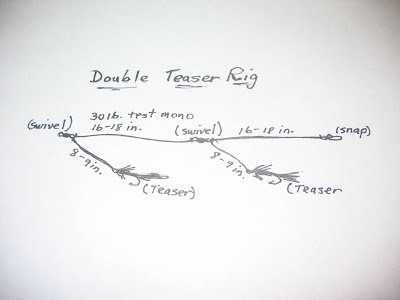 Rhode Island Striped Bass: Diagram of Double Teaser Rig