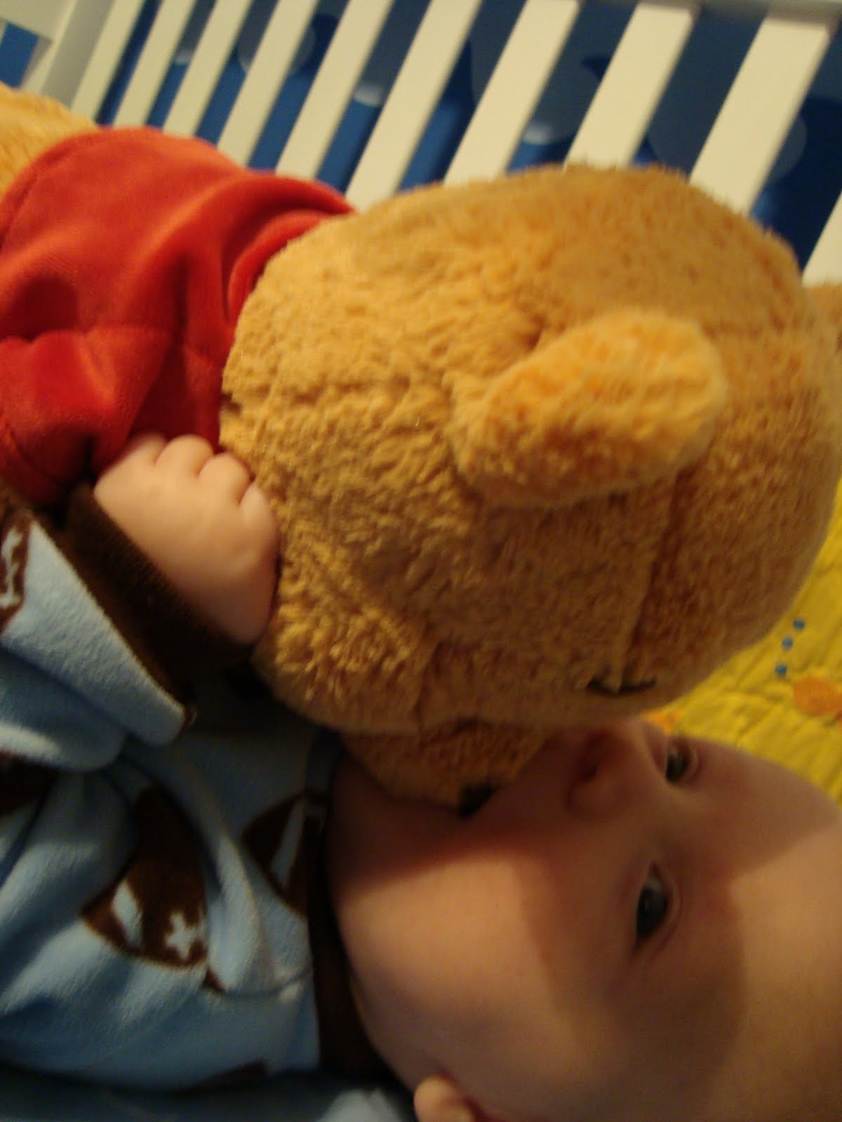 [DSC00600.JPG]