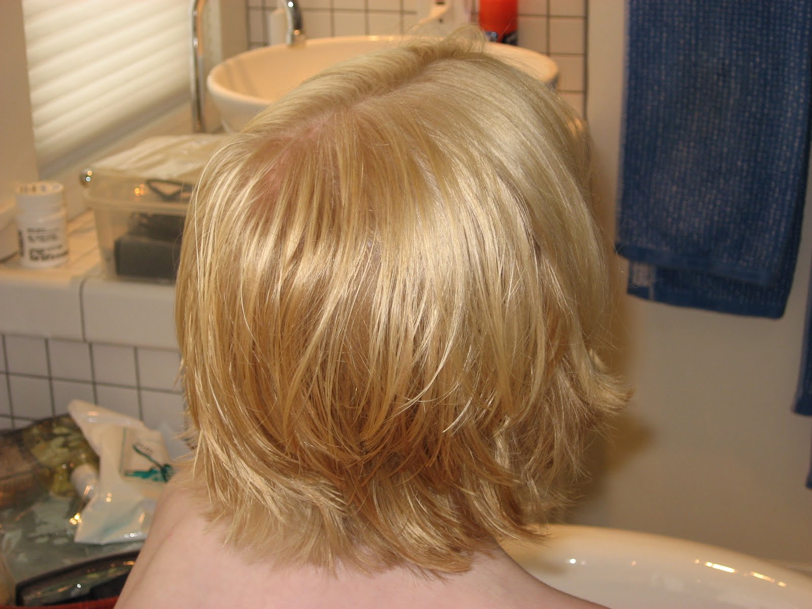 Fugue Salad Haircut Bonanza