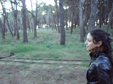 sigouncamino
