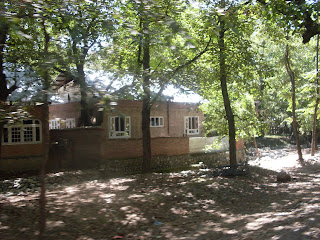CHINAR SHADE : RASOOL MIR _ JOHN KEATS OF KASHMIR