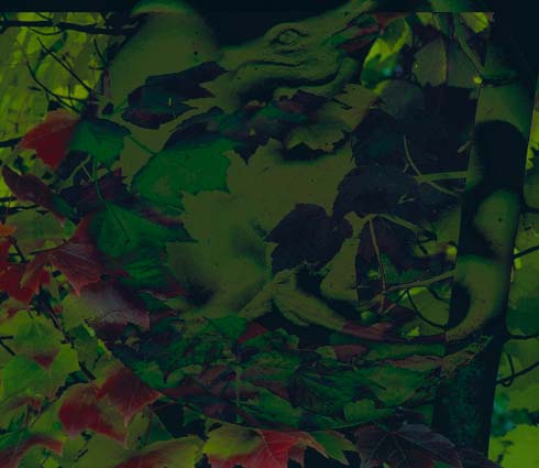 [Dragon+darbreblog.jpg]