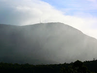 Mt Wellington from near the site of McDermott's Farm