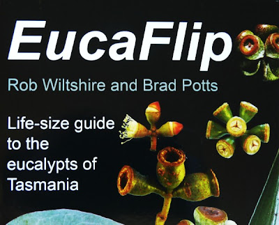 Detail of cover, EucaFlip, Copyright Rob Wiltshire 2007