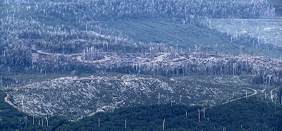 Aggregated retention forestry site, visible to the east of the Hartz Mountains - 8th March 2008