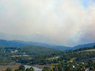 View towards Hartz Mts, obscured by Foresty burns - 9 April 2007