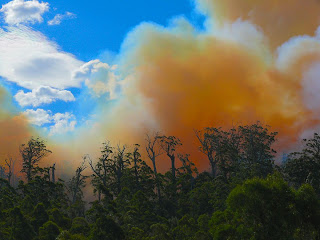 Forestry burn close by along Arve Rd - 9 April 2007