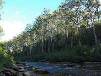 Picton River at old crossing site - 11 April 2007