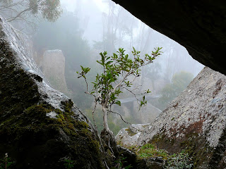 View from within a dolerite overhang at Lost World, Mt Wellington - 17 Nov 2007