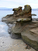 Sedimentary/metamorphic outcrop in Mary Ann Bay, South Arm - 7th June 2008