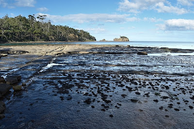 Clydes Island from the Tessealtyed Pavement, Tasman Peninsula - 11th September 2010