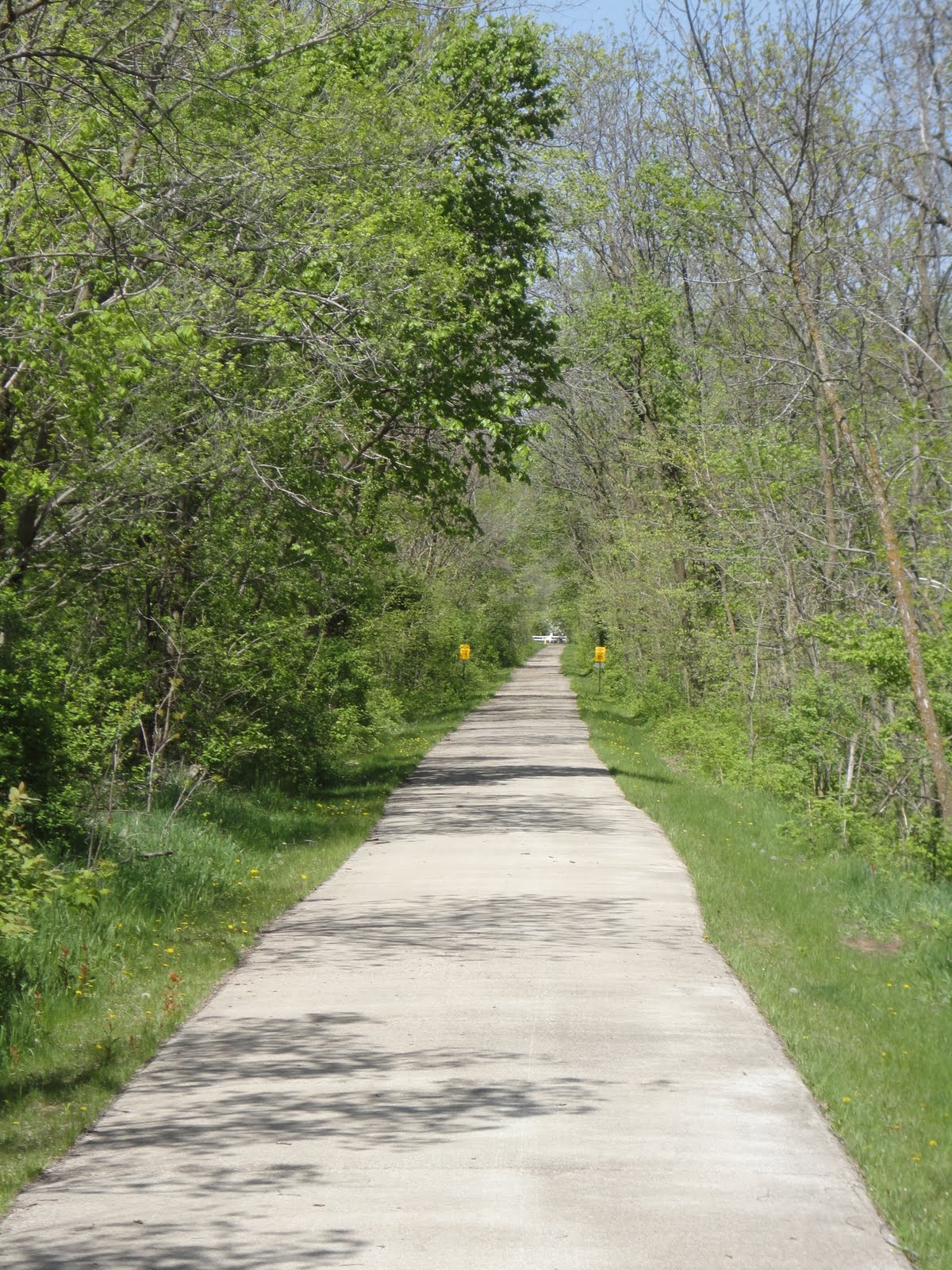 The Making of an Army JAG Officer Lake View, Iowa, to Ft. Lee, Virginia