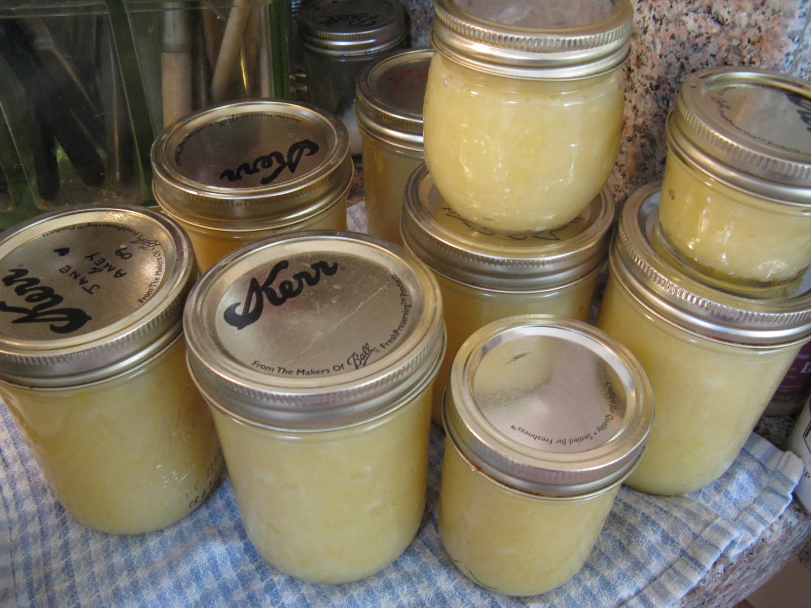Vegan Eats and Treats! Applesauce and Apple Jelly!