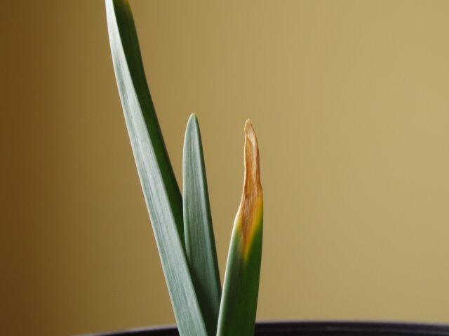 [P3010917.JPG]