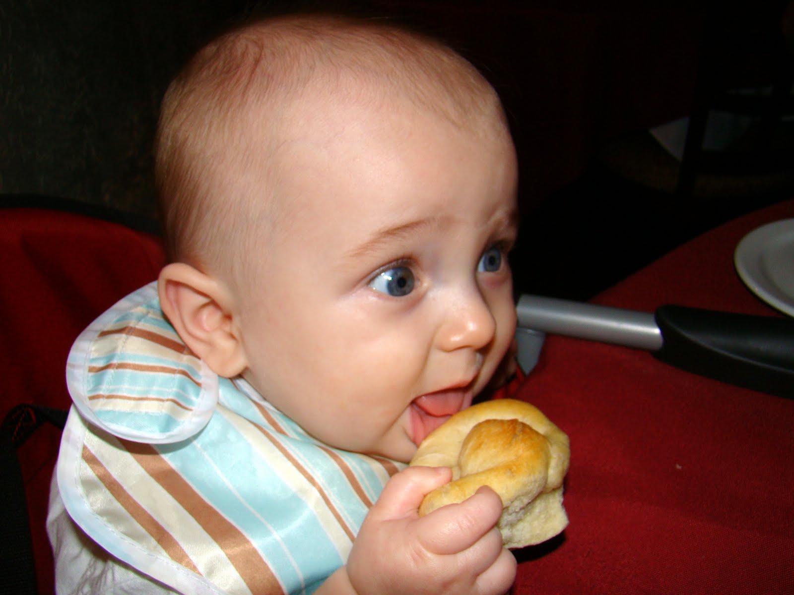 Finger Foods - The Journey of Parenthood...