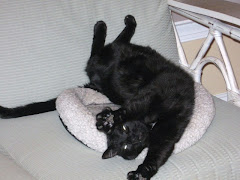 Ricky My Best Ever Fur-Buddy!