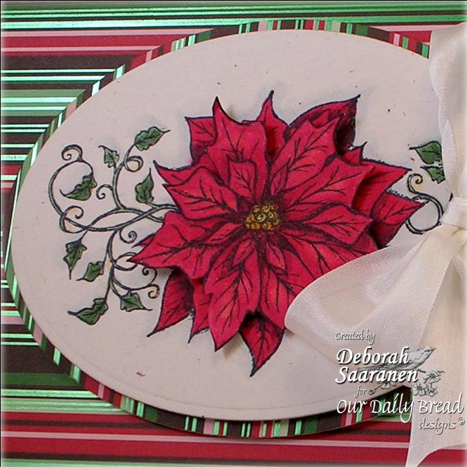 [Debs+Peppermint+Bark+Pointsettia+close+up.jpg]