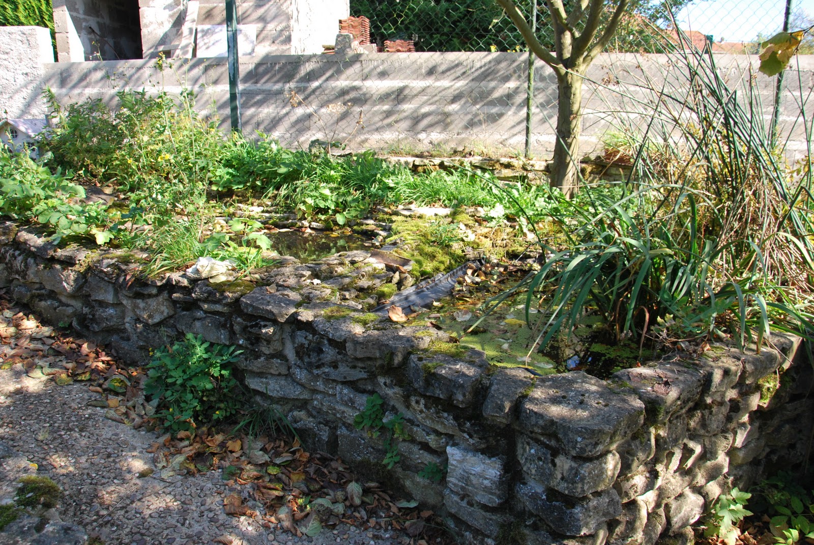 la maison qu'est à nous: le jardin