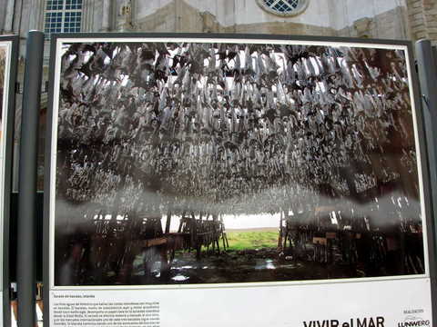 [DSCN0185.JPG]