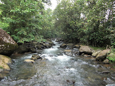 Peñas Blancas River