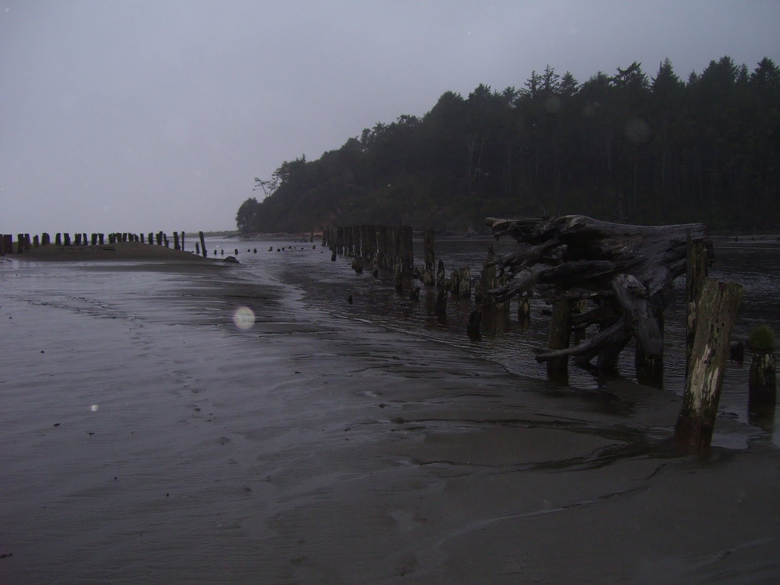 Dojo Rat Moclips The End of The Line