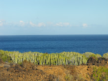 Malpaís de Güímar. Tenerife