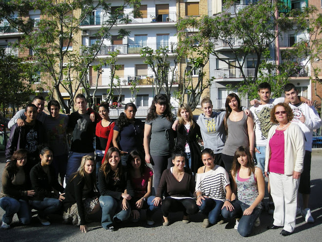 Curs 2009/10 CFGM