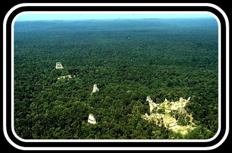 [Tikal-12.jpg]
